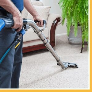 sofa cleaning services image 7
