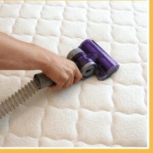 sofa cleaning services image 9